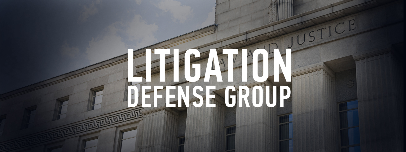 Litigation Defense Group