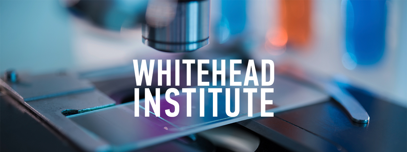 The Whitehead Institute
